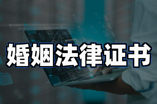 房产证仿制入门:从零开始掌握核心要点